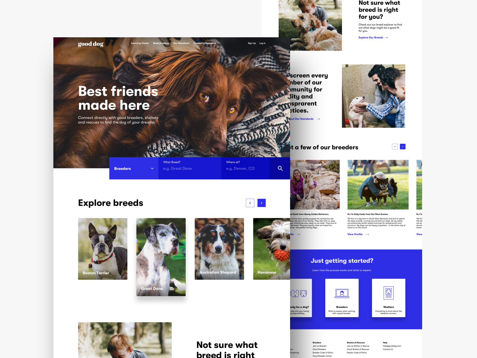 GoodDog site Exploration by Julian Zarate on Dribbble