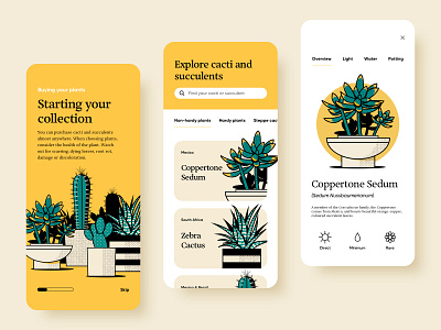 Cacti and Succulents app application cacti cactus cards clean concept design drawing flat illustration minimal mobile ui planting plants product design succulent ui uidesign ux