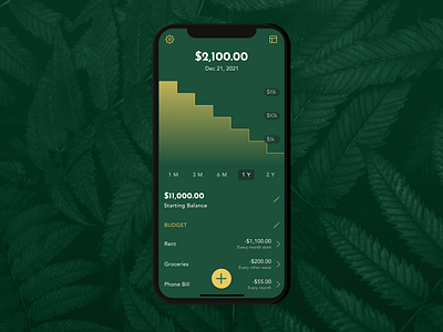 Mockup for a Personal Finance App - Oolong