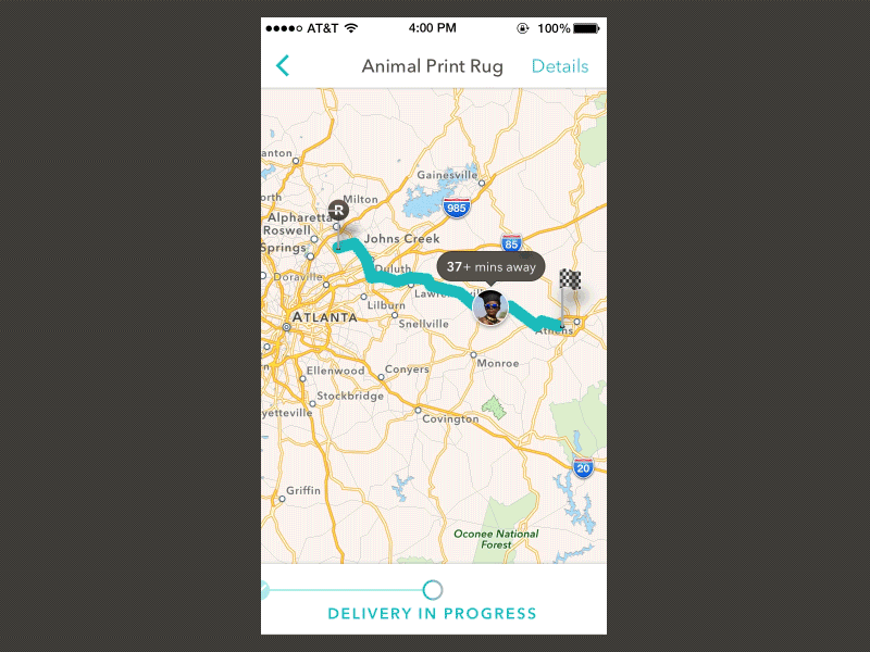 Driver Details ios maps principle tracking