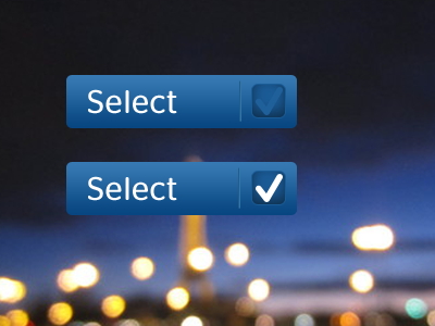 Checkbox button checkbox select