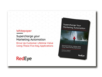 RedEye White Paper Social Graphic