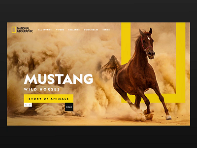 National Geographic - Story of Animals Web Re-Design after effect animation clean ui national national geographic slider design ui web design website