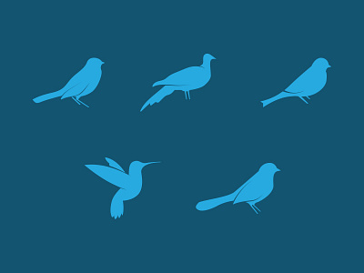 Bird illustrations birds illustration silhouette