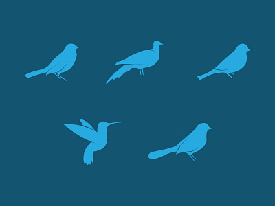 Bird illustrations