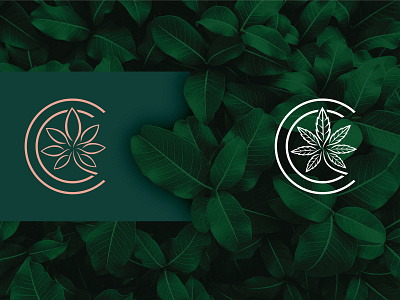 Brand Identity for Canna Chic