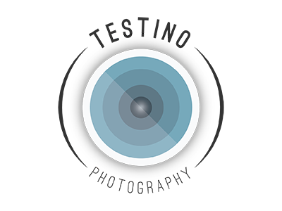 Testino Photography blues branding greys logo new brand new branding photography startup