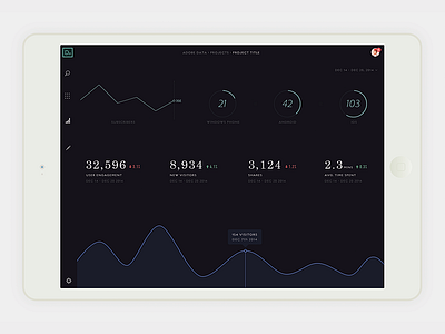 iPad data visualizations