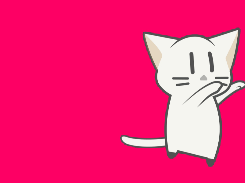 Cute Cat bright cat cute cute af kitten meow pink