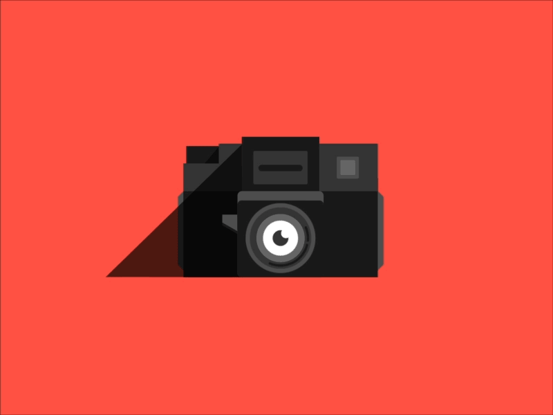 Holga [GIF] animated gif holga illustration lomo lomography motion design