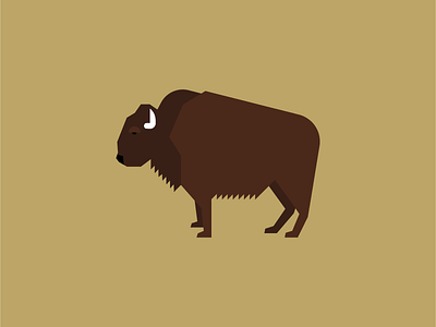 Bison