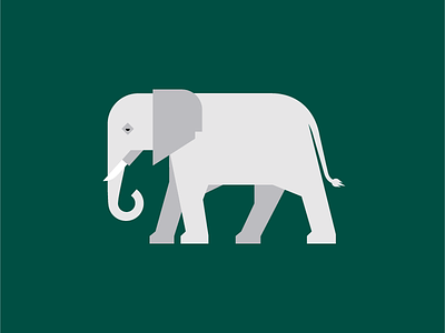Elephant animal design drawing elephant illustration screen print