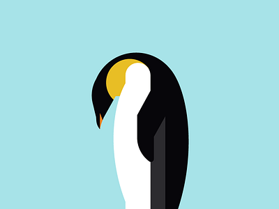 Penguin Illustration animal kingdom animals geometric illustration penguin