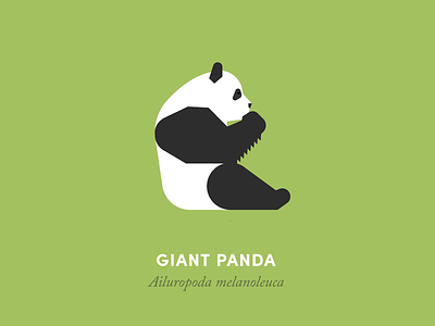 The 100 Day Project: Giant Panda animal animal kingdom animals design geometry grid illustration minimal minimalism nature wildlife