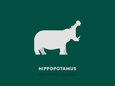 Hippopotamus animal animal kingdom design hippo hippopotamus illustration mammal minimal nature wildlife