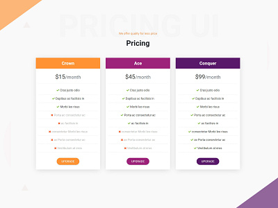 Pricing Card UI Design