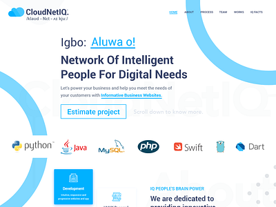 CloudNetIQ Agency Landing Page adobe xd mockup userinterface