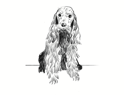 Dog avatar character character design design dog dribbble graphic design illustration texture