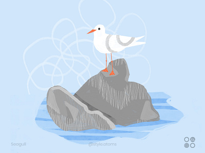 Seagull blue character design dribbble illustration photoshop sea summer texture