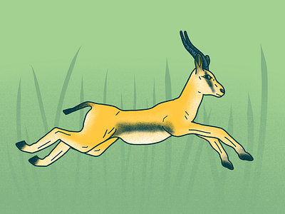 Brave the gazelle-lements gazelle grasslands illustration procreate pun run