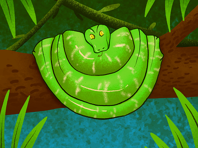 Animal Wisdom Wednesday 2 animal boa forest procreate rainforest snake tree boa