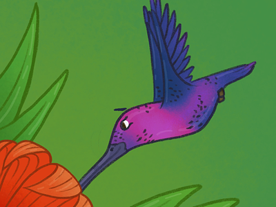 Animal Wisdom Wednesday 3 animal facts animal wisdom bird flower hummingbird illustration procreate