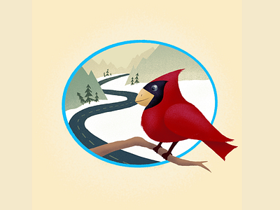 Animal Wisdom Wednesday 10 animal bird cardinal facts illustration mountains procreate wisdom