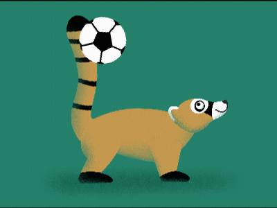 Coati Soccer after effects coati illustration juggle procreate soccer