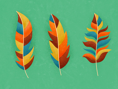 Freedom in color feather illustration illustrator photoshop texture