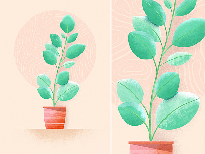 Growth botanic flower illustration procreate