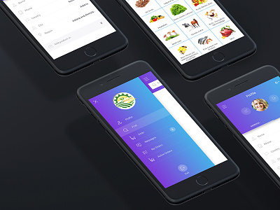 Agro Birzha | Online Supermarket | Mobile App Design app buy e commerce flat food interface ios modern shop shopping ui ux