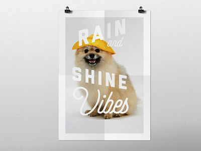 Sou'Wester Branding branding design dog rain shine type vibes
