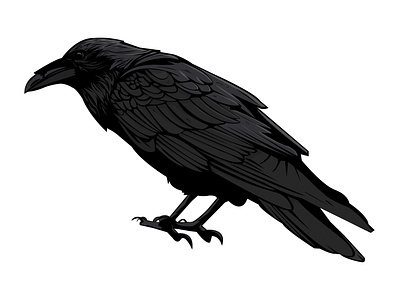 RAVEN & THE SWORD by Blake M. Kandzer on Dribbble