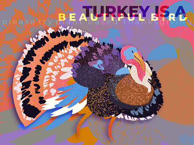 turkey is a beautiful bird