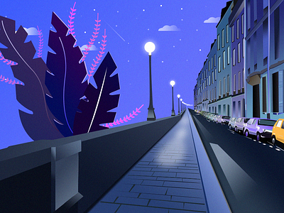 Night illustration