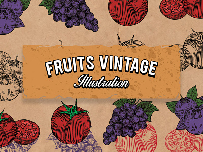 Vintage fruit collection hand drawn