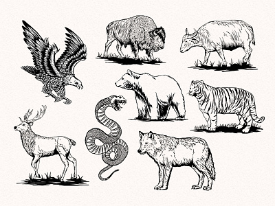 Vintage illustration Animal