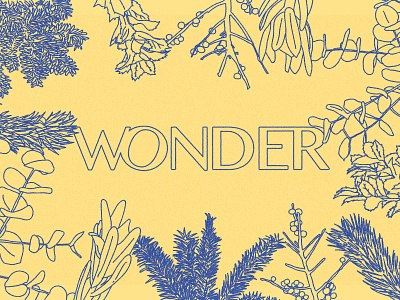 Wonder - Message Series church identity illustration logo