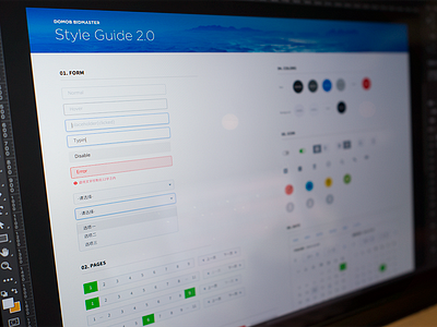 BidMaster Style Guide V2.0 cms form guide guidelines style styleguide ui ui guide ux web
