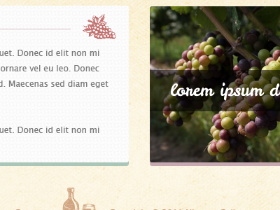 Winery Website grapes tan wine