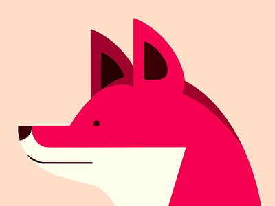 Fox Close-up