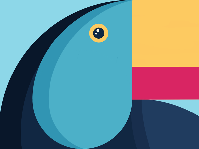 Tucana Closeup vector eye vector bird eye bird logo tropical tropical bird tropical bird colorful tucan logo bird logo bird vector tucan vector 2d flat illustration flat illustration geometric