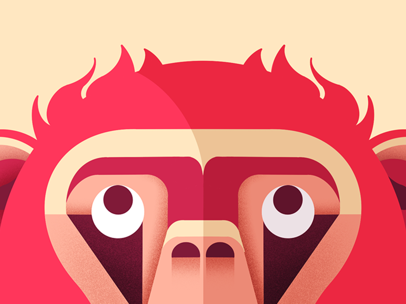 Monkey Close up monkey icon colourful monkey minimal red monkey monkey island monkey logo monkey monkey vector character illustration 2d 2d flat illustration flat illustration geometric