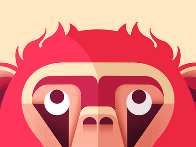 Monkey Close up 2d 2d flat illustration character illustration colourful monkey flat geometric illustration minimal monkey monkey icon monkey island monkey logo monkey vector red monkey