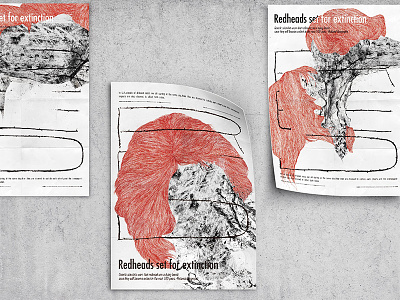 POSTER: Redheads set for extinction human right redheads taiwan
