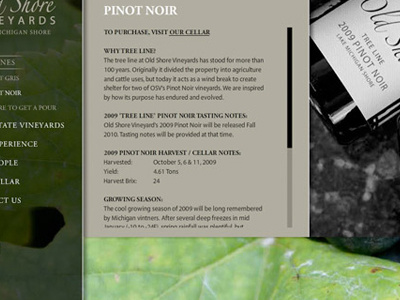 Vineyard Interface Final black and white flash animation navigation photography typography web design winery