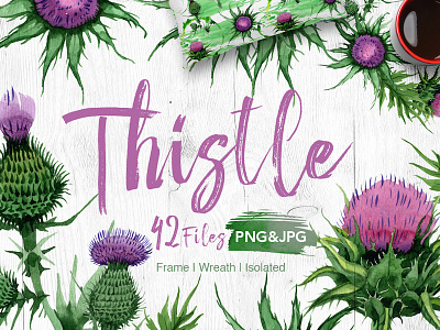 Thistle flowers PNG watercolor set