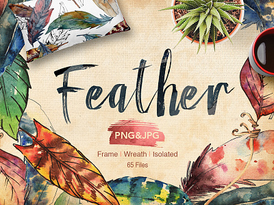 Feather bird PNG watercolor set art bird download feather illustration png set watercolor