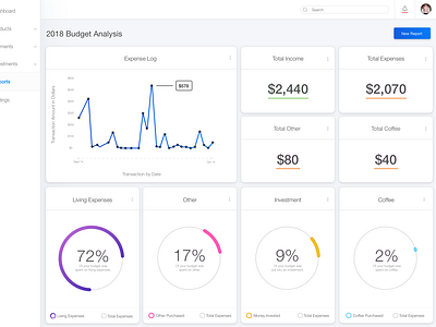 Personal Budget Report budget dashboard dashboard design data analysis data collection reporting ui ux
