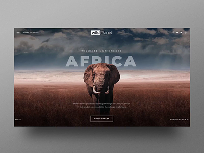 Cinematic Wildlife Slider Template For WordPress cinematic slider free slider template hero image slider plugin slider revolution wordpress wordpress slider